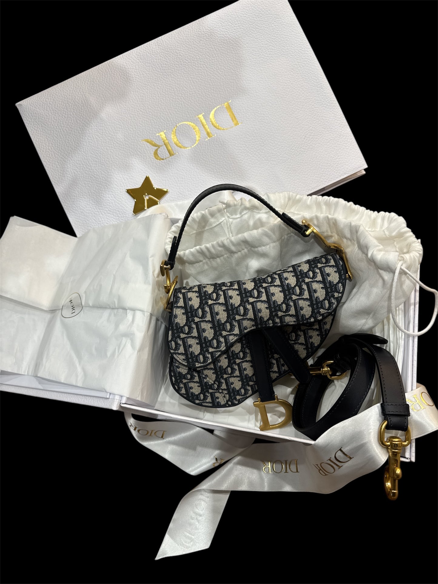 DIOR MINI SADDLE